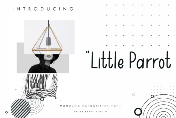 Little Parrot Font for Creative Projects