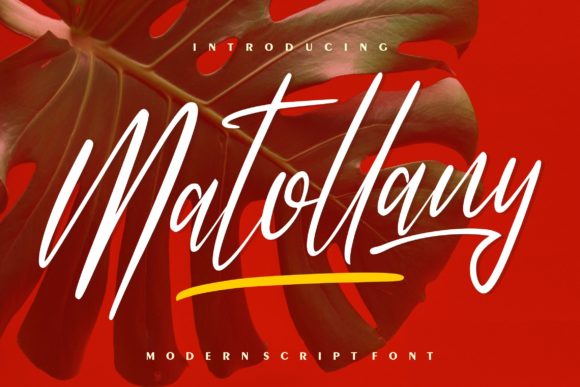Matollany: A Premium Script Font for Business Branding