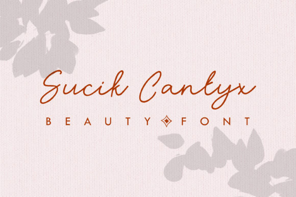Sucik Cantyx Font for Creative Projects